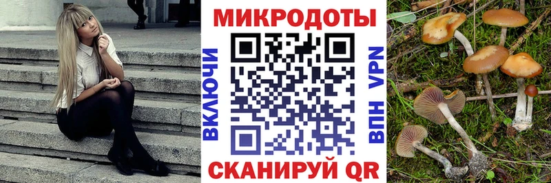 Псилоцибиновые грибы Cubensis  Сасово 